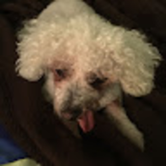 Meet your Posher, Rebecca - Picture 1 of 1